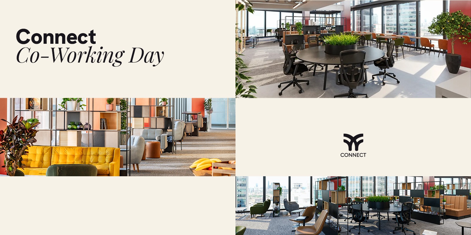 Co-Working Day flyer